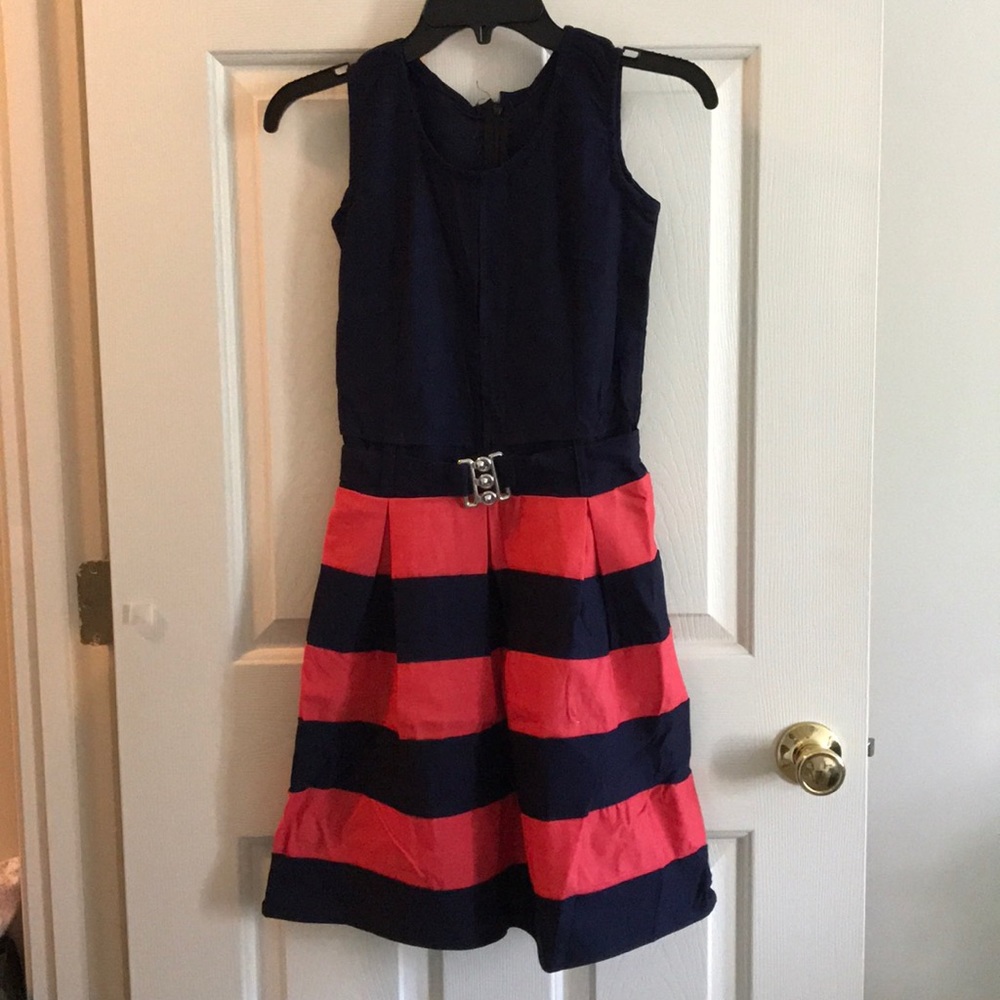 Navy and Pink skater dress